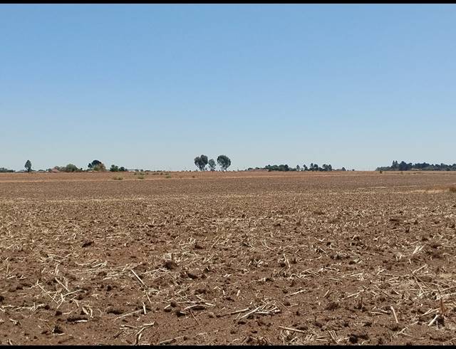 20.20HA VACANT LAND FOR SALE IN CHRISSIEFONTEIN